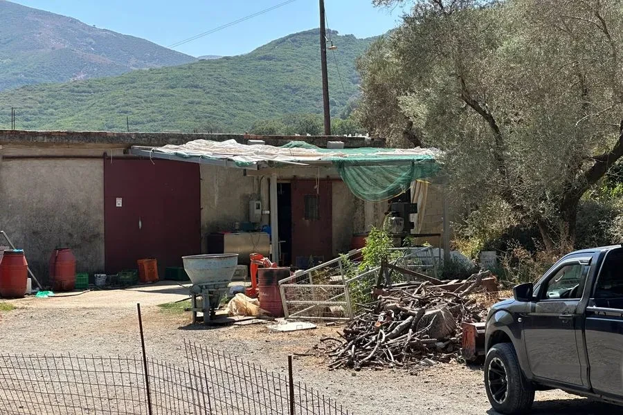 Έκανα τον πεθαμένο για να επιζήσω, συγκλονιστική μαρτυρία.